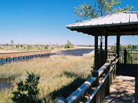 Castaway Island Preserve