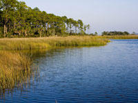 Dutton Island Preserve